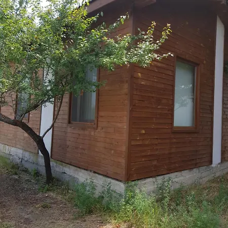 キャンプ場 Bungalow Megi